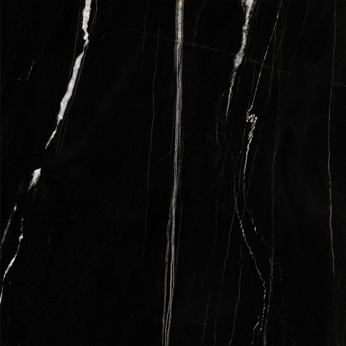 DAREN NOIR