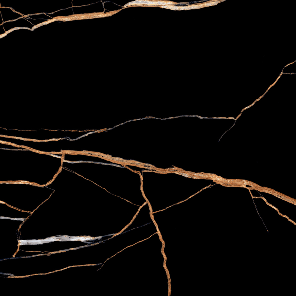 FENIX BLACK