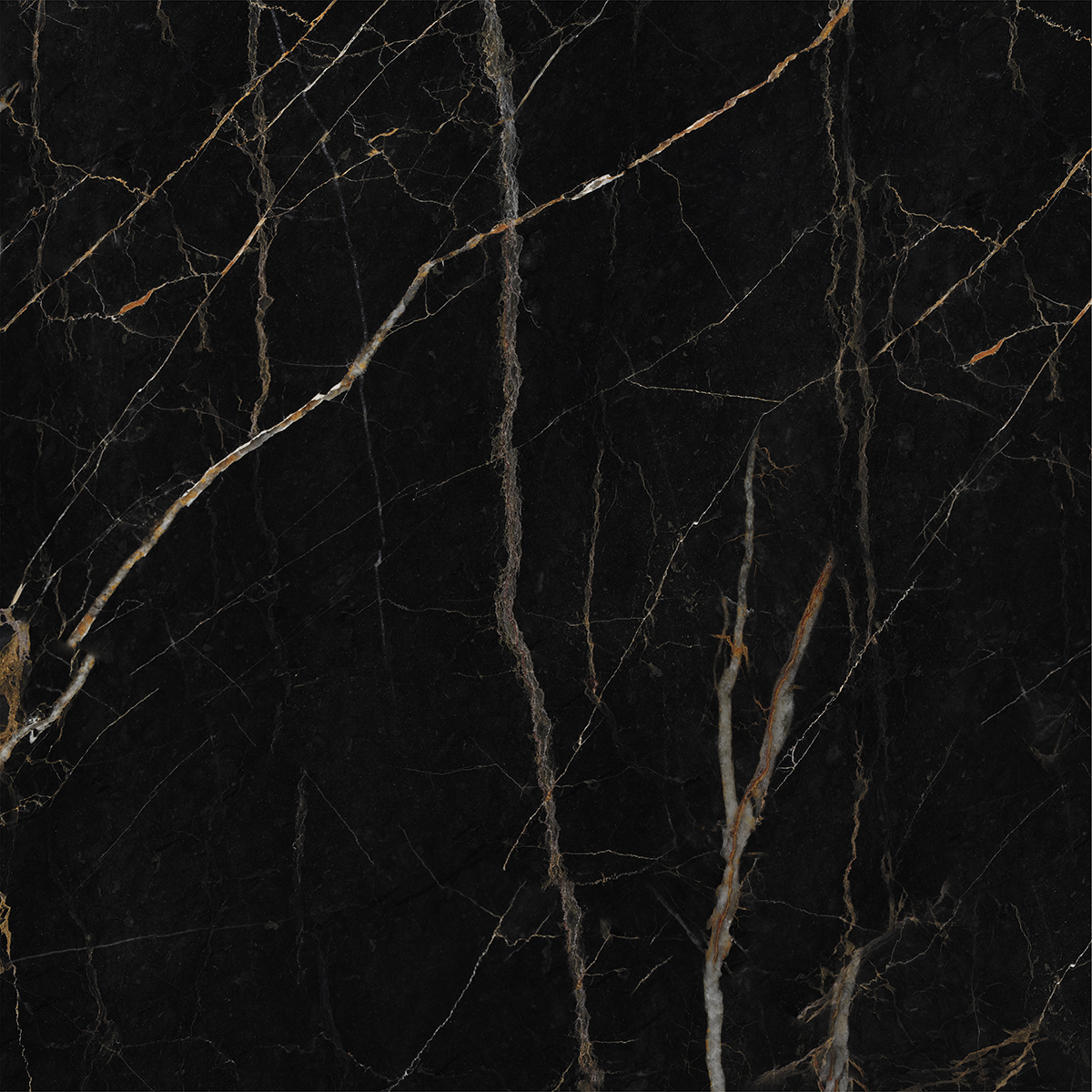 LEXO BLACK