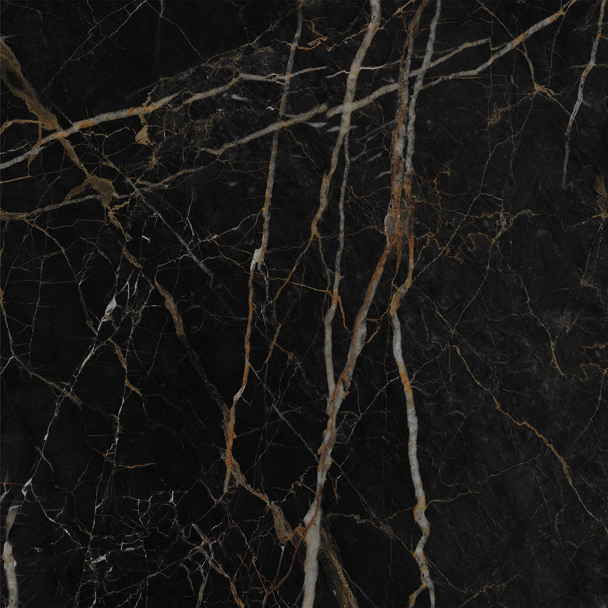 LEXO BLACK