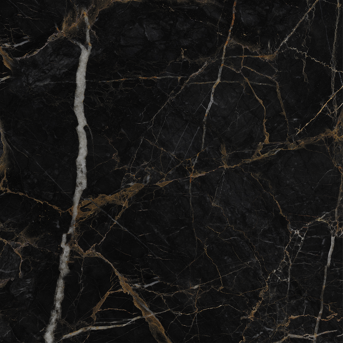 LEXO BLACK
