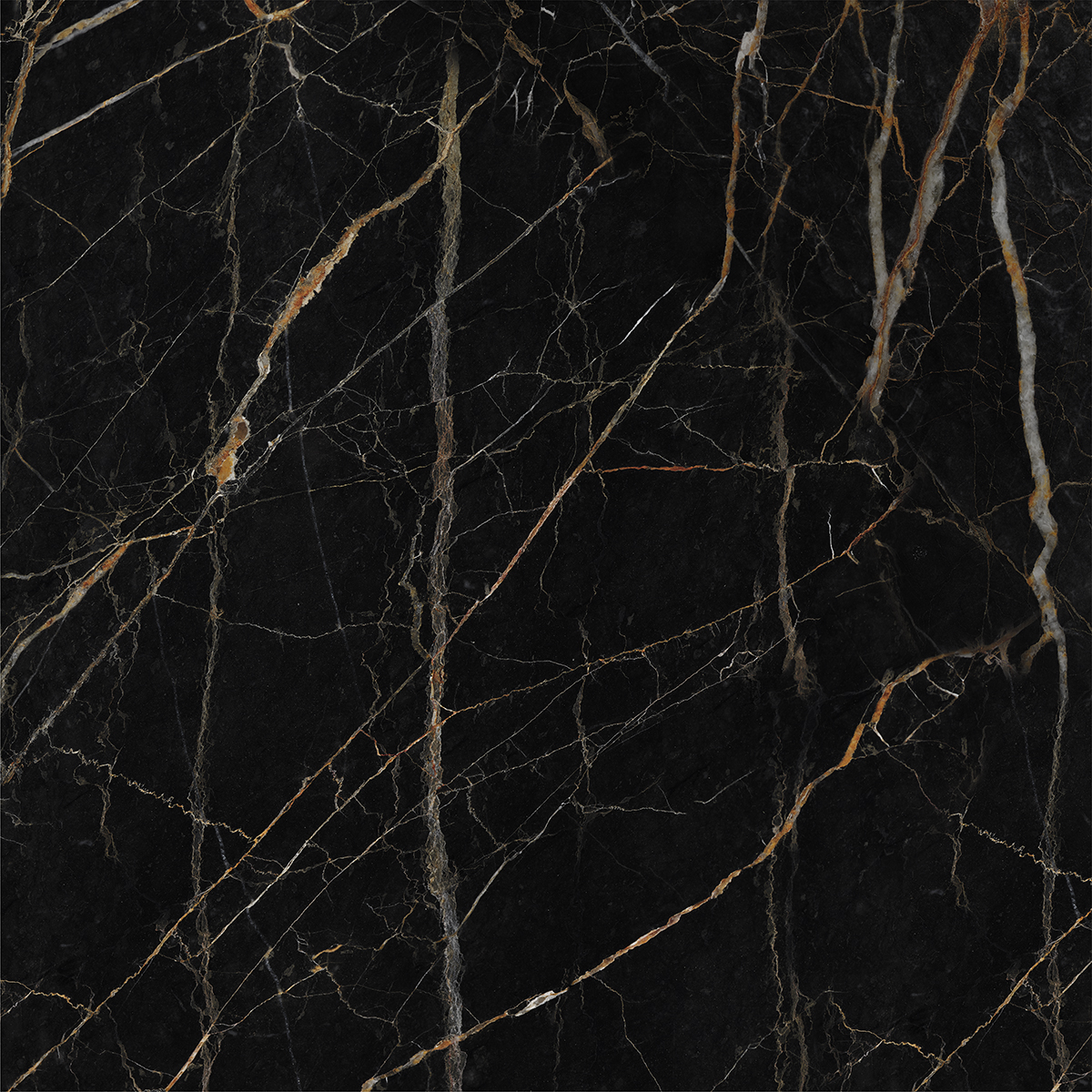 LEXO BLACK