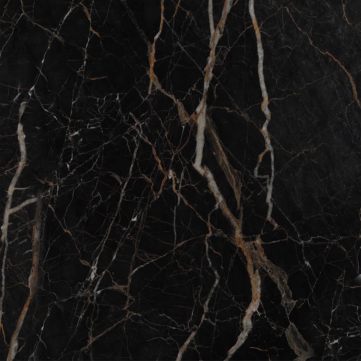LEXO BLACK