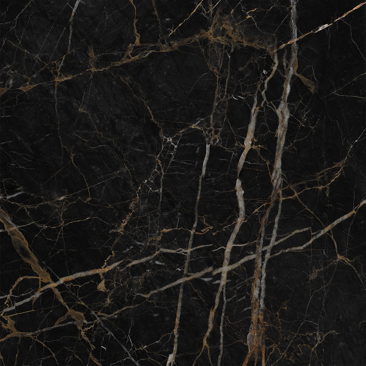 LEXO BLACK