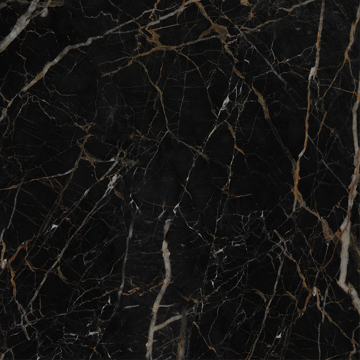 LEXO BLACK