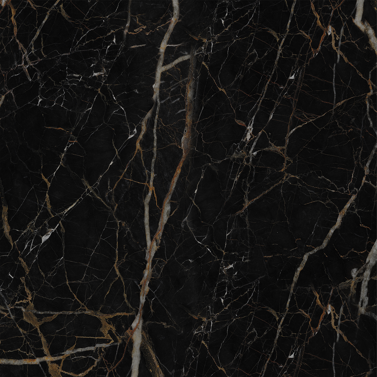 LEXO BLACK