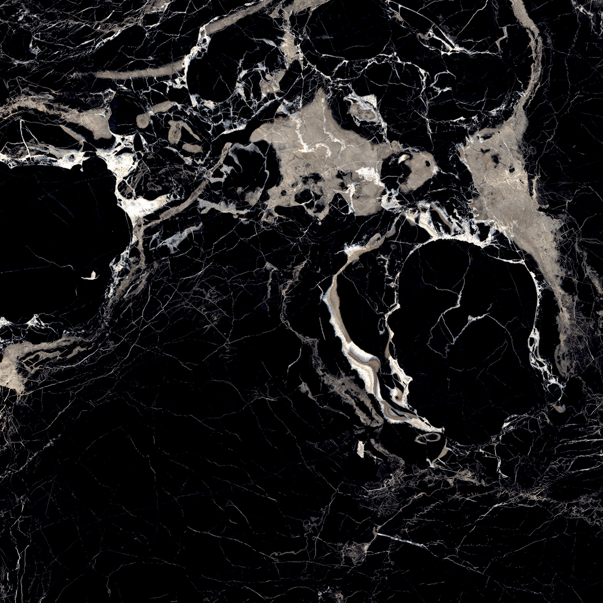 MYSTERIOUS BLACK