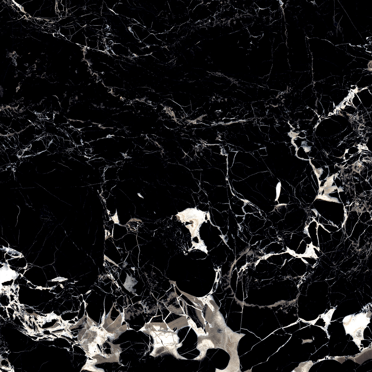 MYSTERIOUS BLACK
