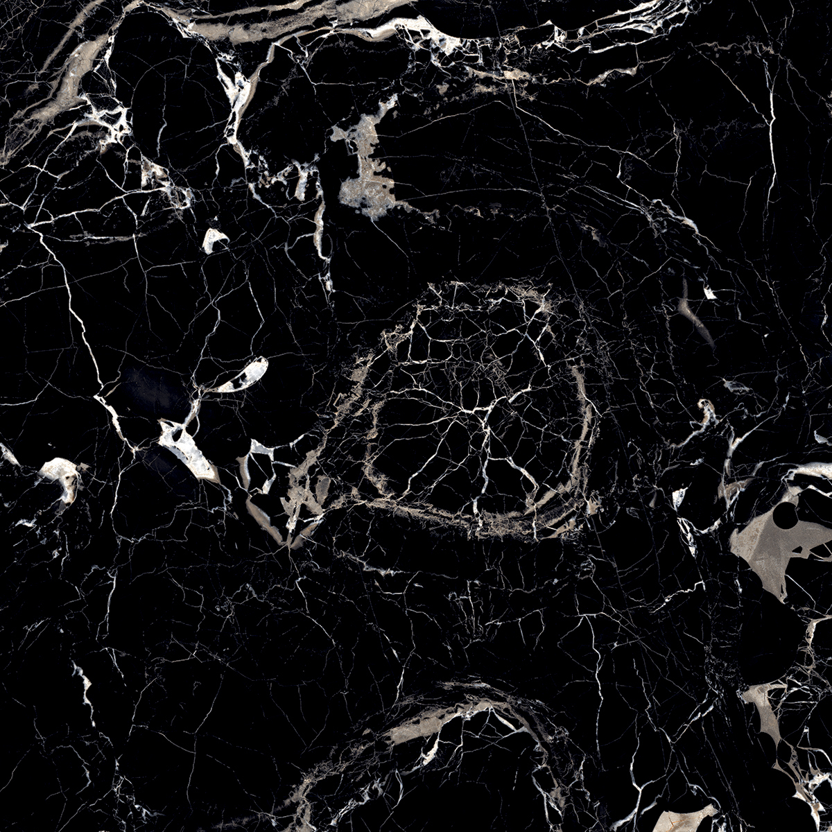 MYSTERIOUS BLACK