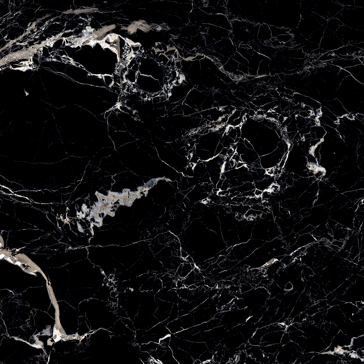 MYSTERIOUS BLACK