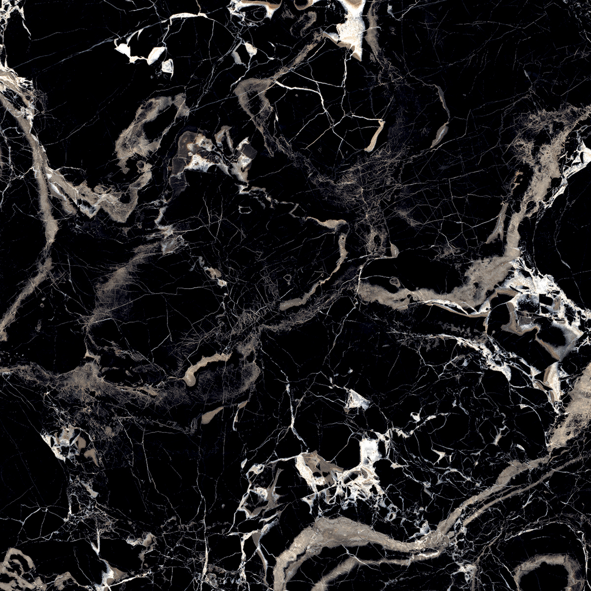 MYSTERIOUS BLACK