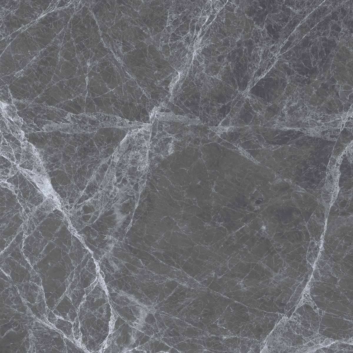 REGAL GREY
