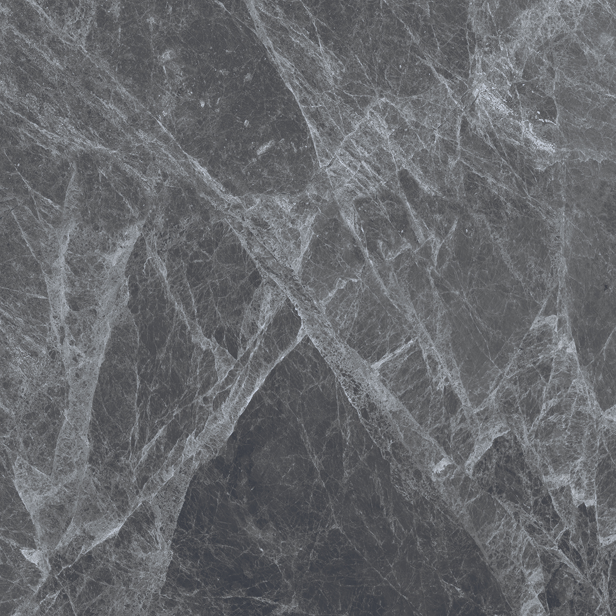 REGAL GREY