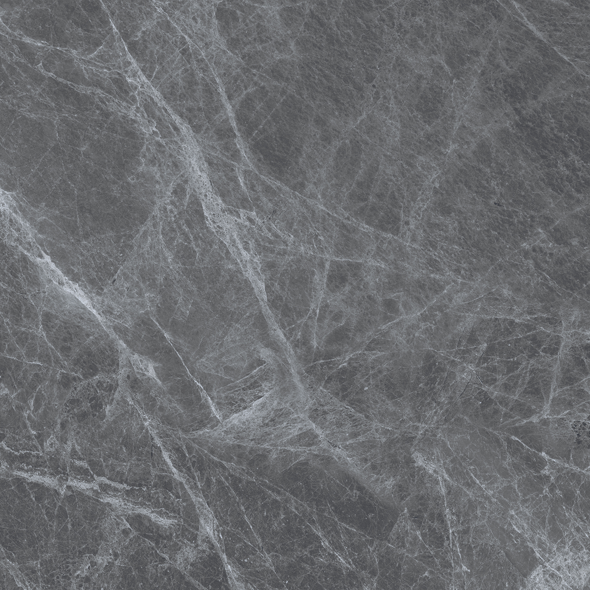 REGAL GREY