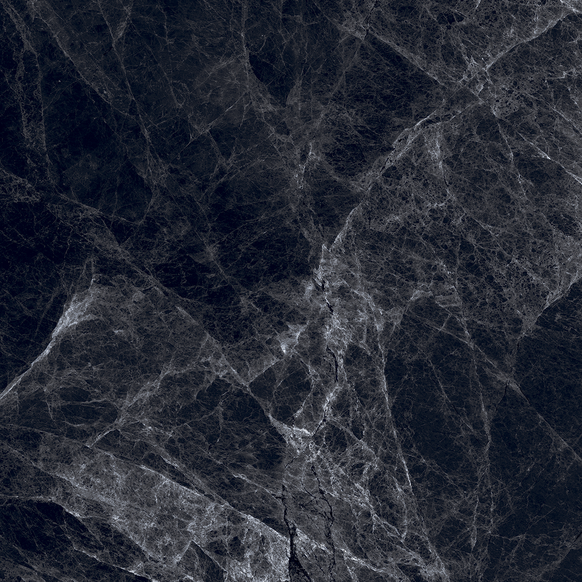 REGAL NIGHT