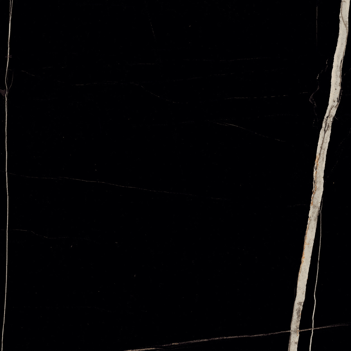 SAHARA BLACK