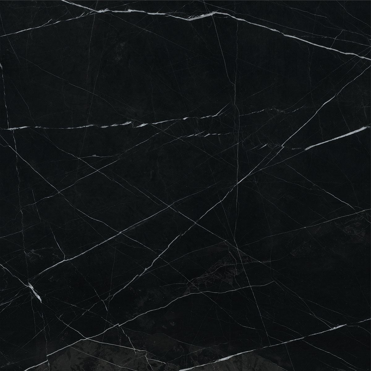 SENSI BLACK