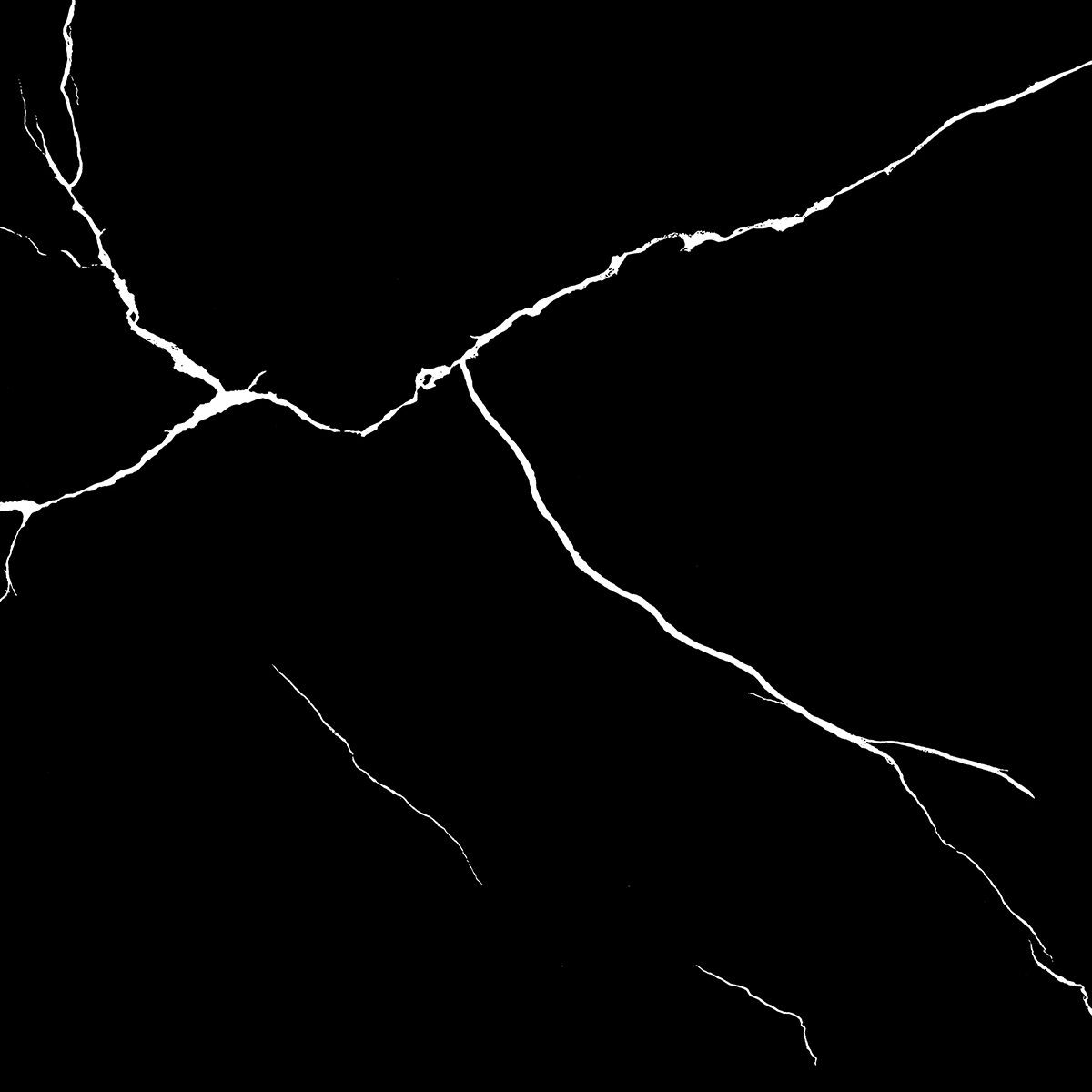 WHITE LINE