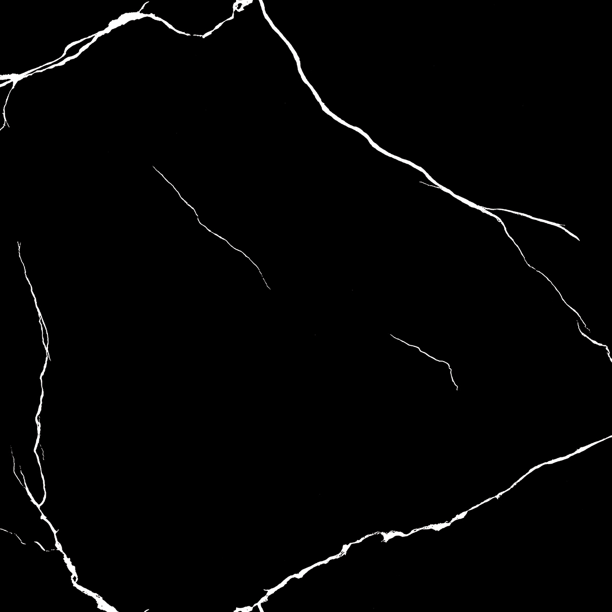 WHITE LINE