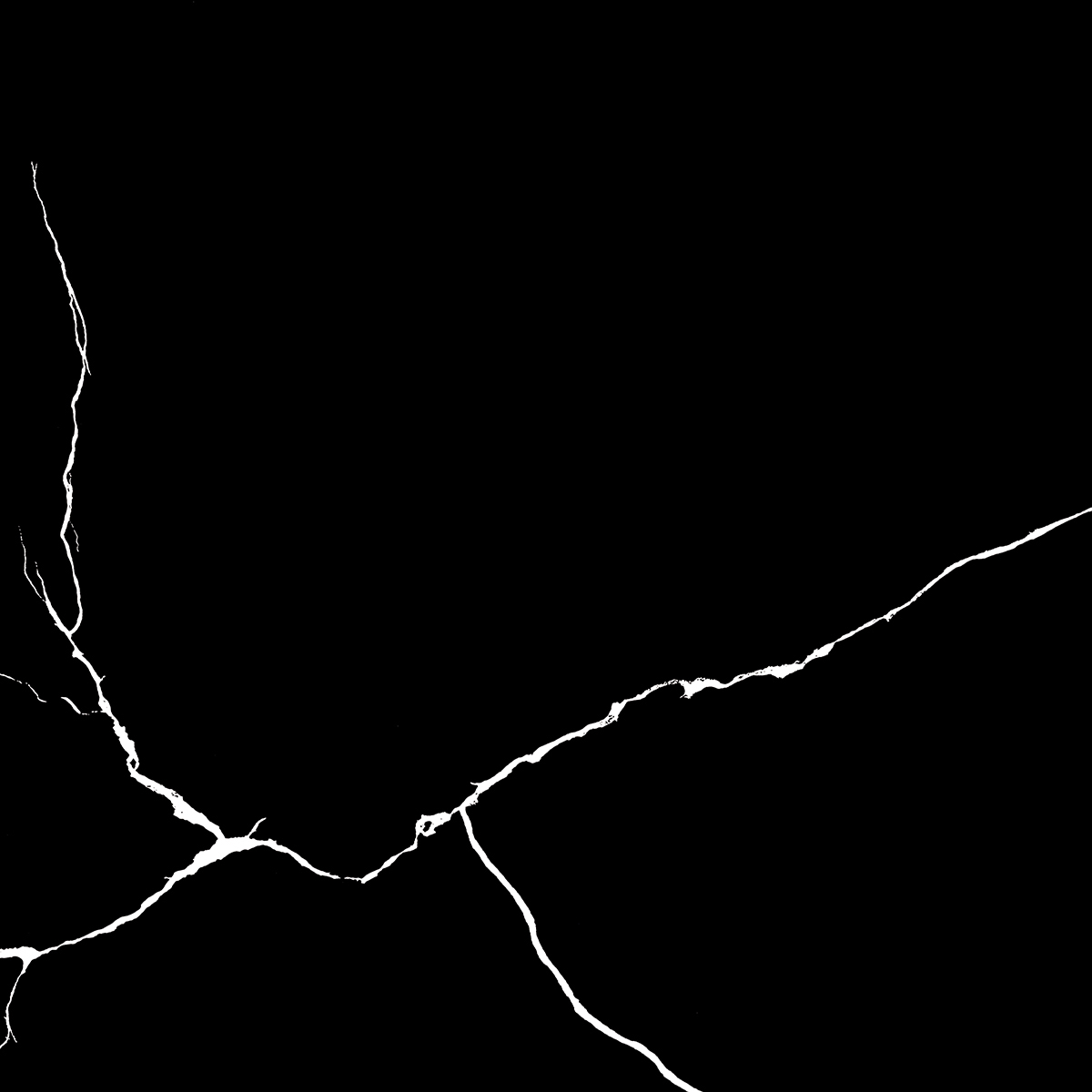 WHITE LINE