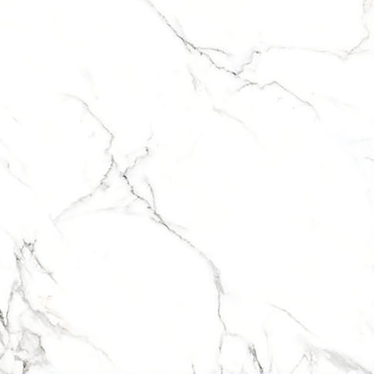 ALASKA WHITE