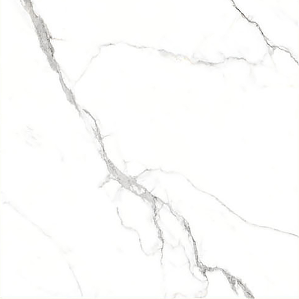 ALASKA WHITE