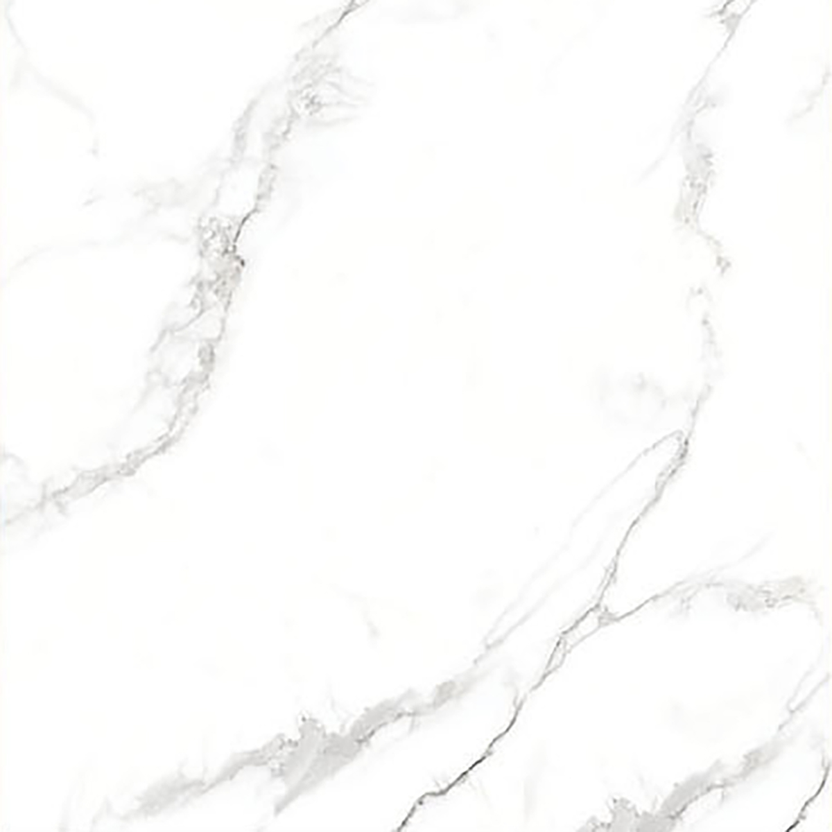 ALASKA WHITE