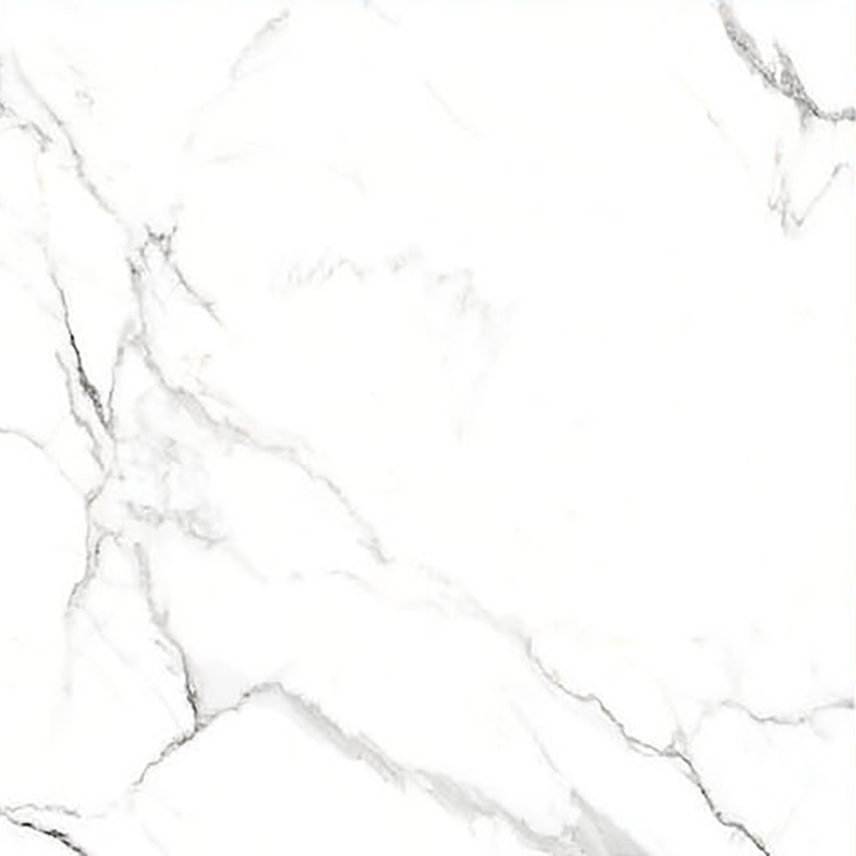 ALASKA WHITE