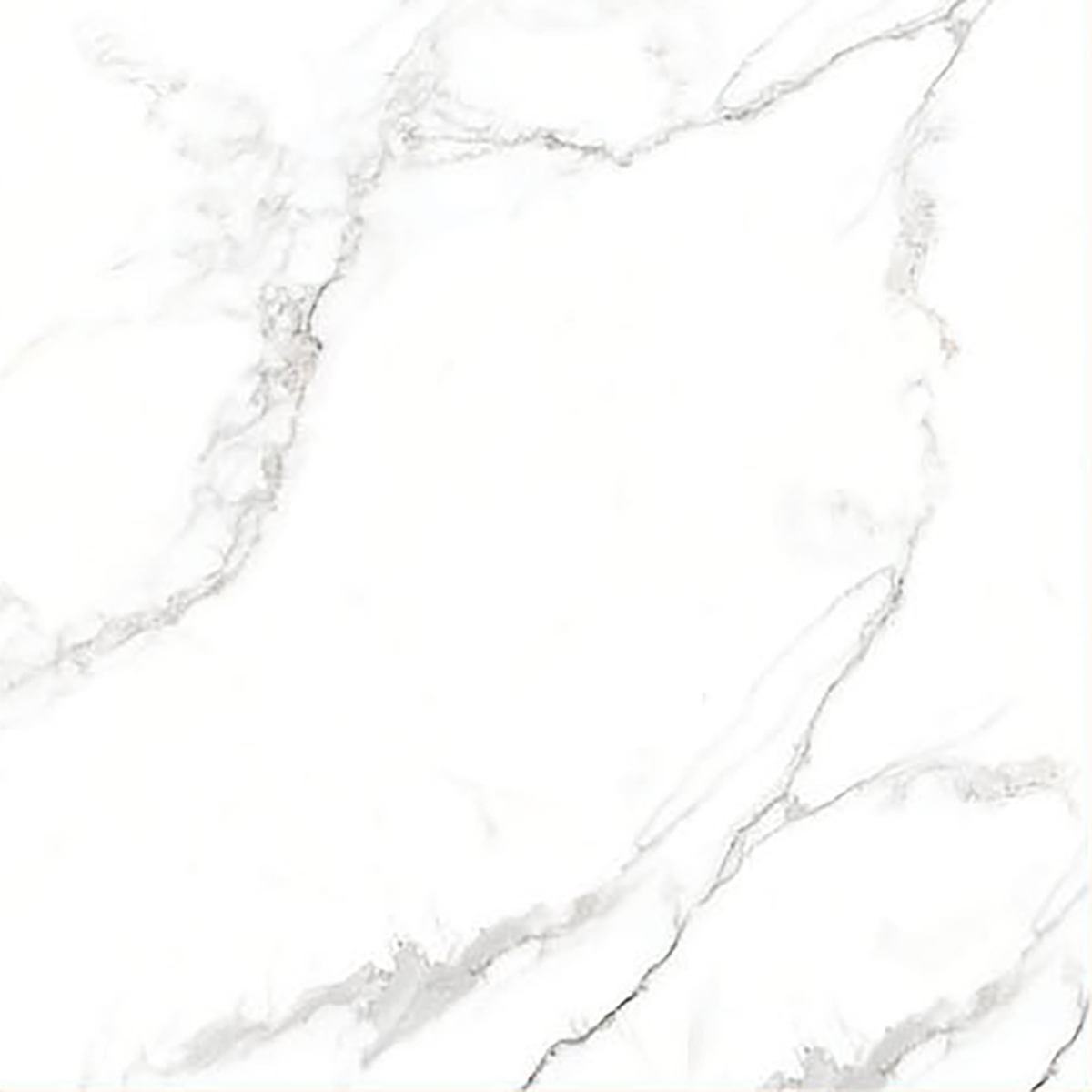 ALASKA WHITE