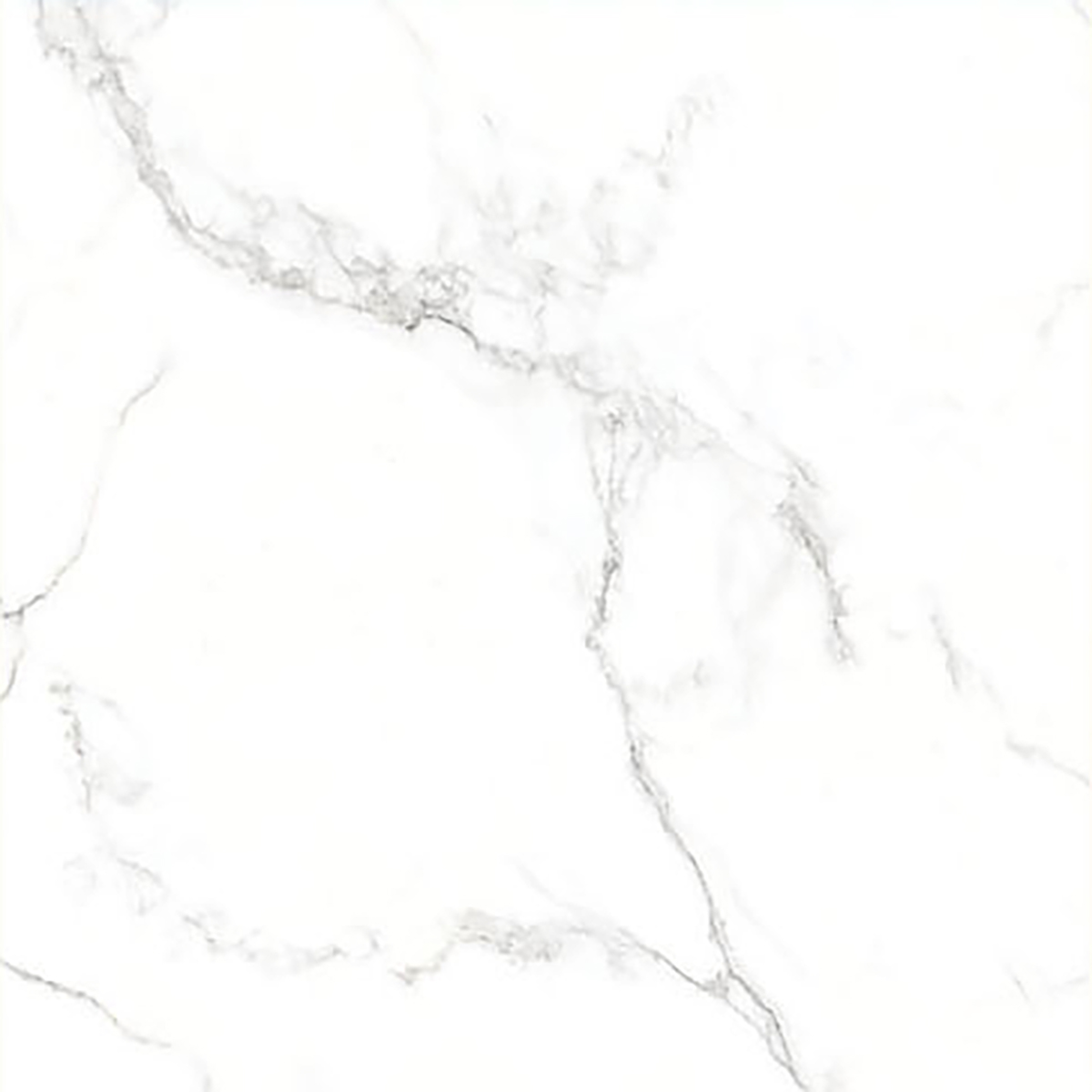 ALASKA WHITE