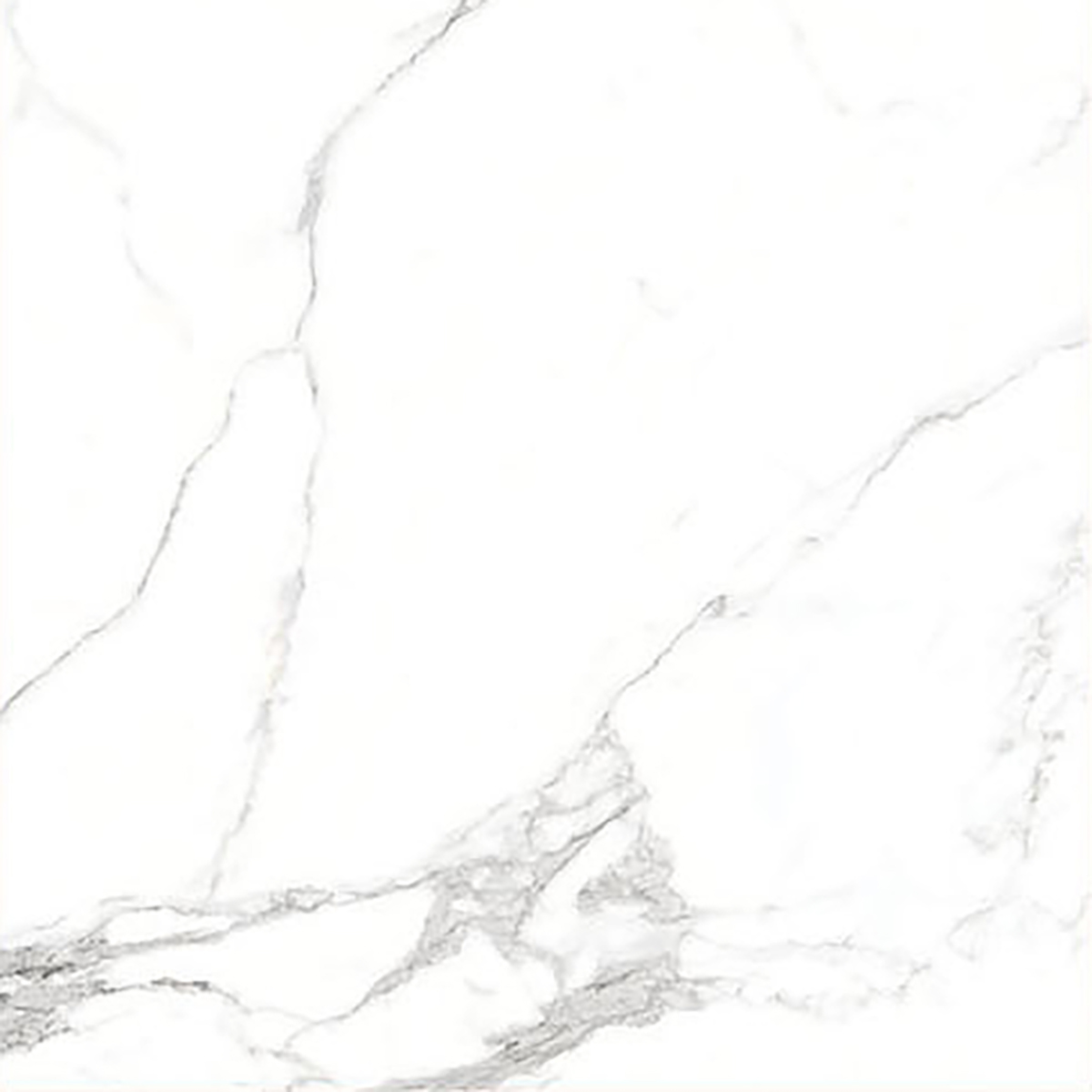 ALASKA WHITE