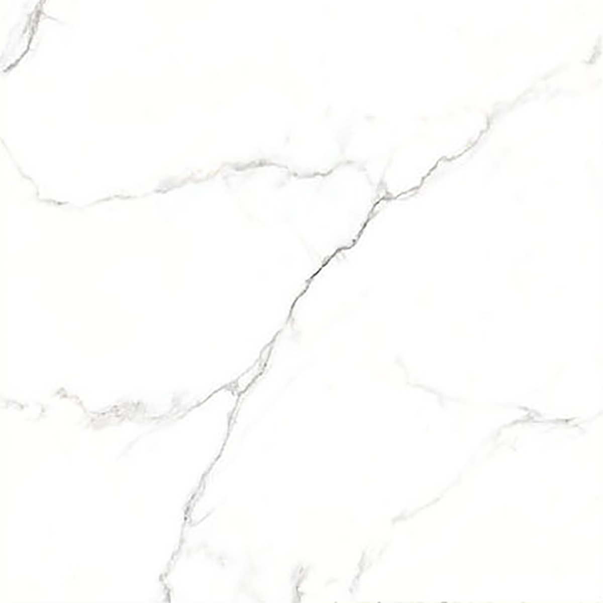 ALASKA WHITE