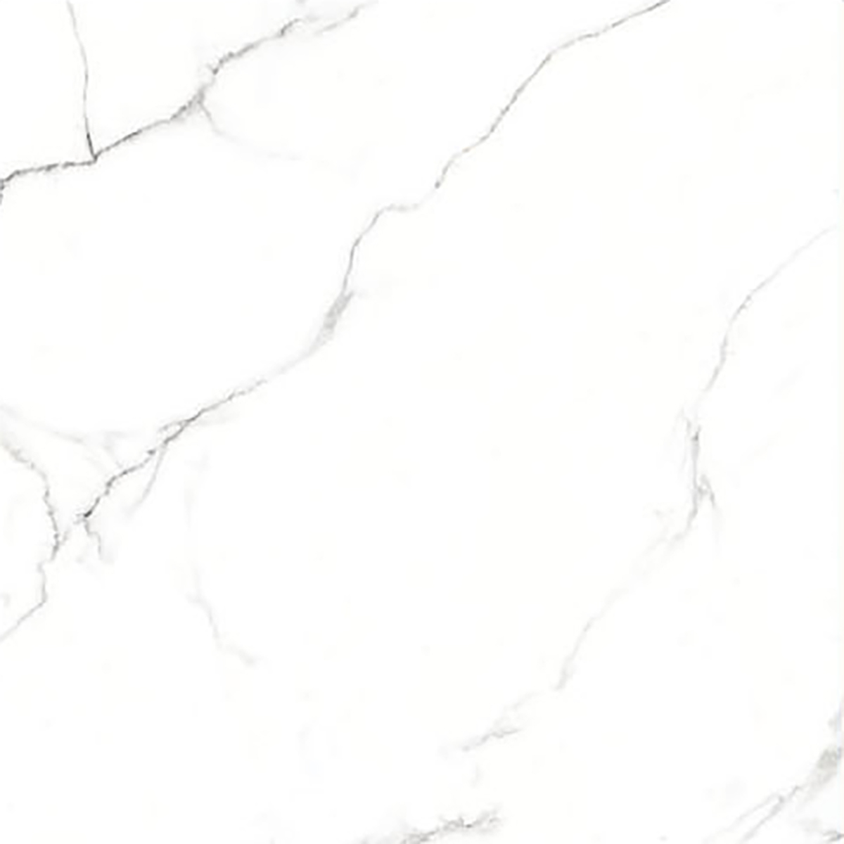 ALASKA WHITE