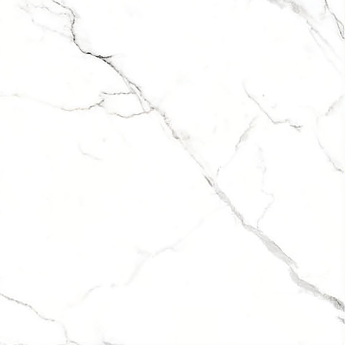 ALASKA WHITE