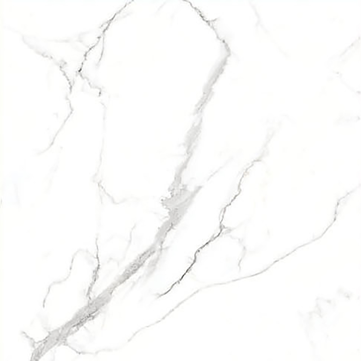 ALASKA WHITE