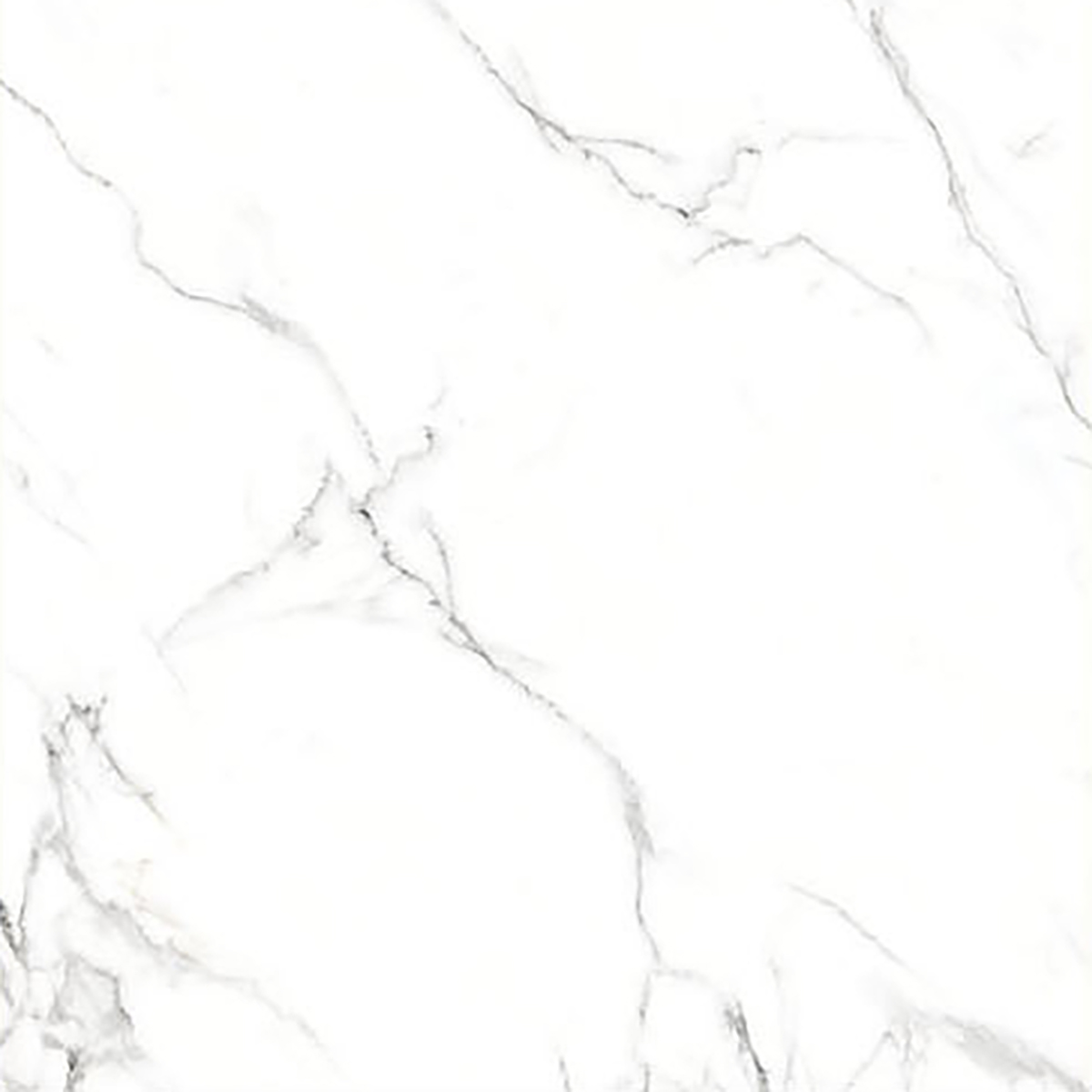 ALASKA WHITE