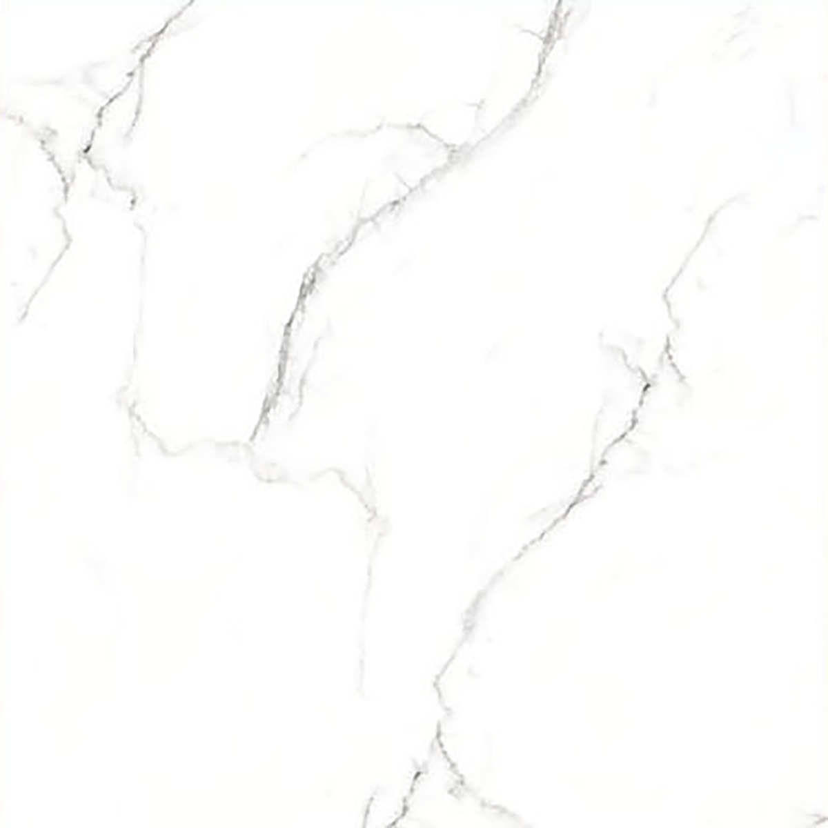ALASKA WHITE
