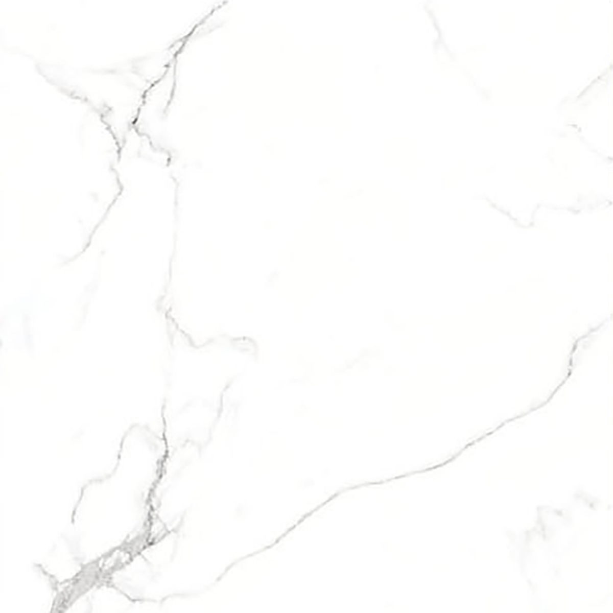 ALASKA WHITE