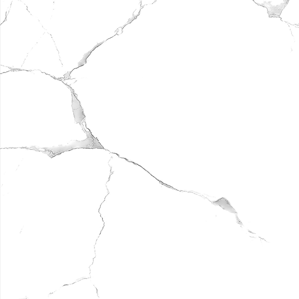 ALPINE CARARA