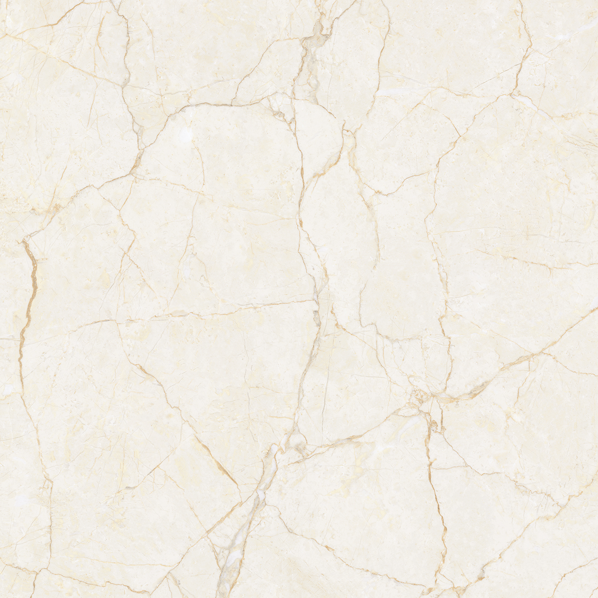 ARIES CREMA