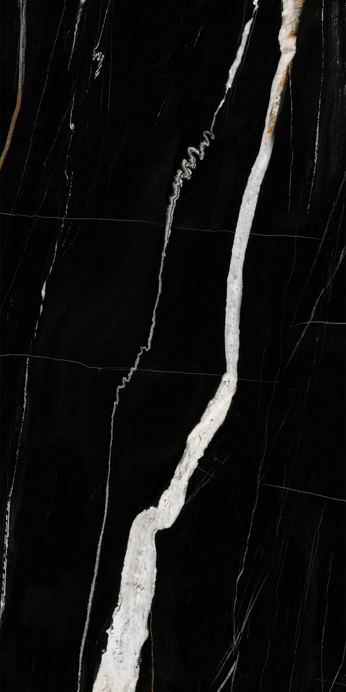 DAREN NOIR
