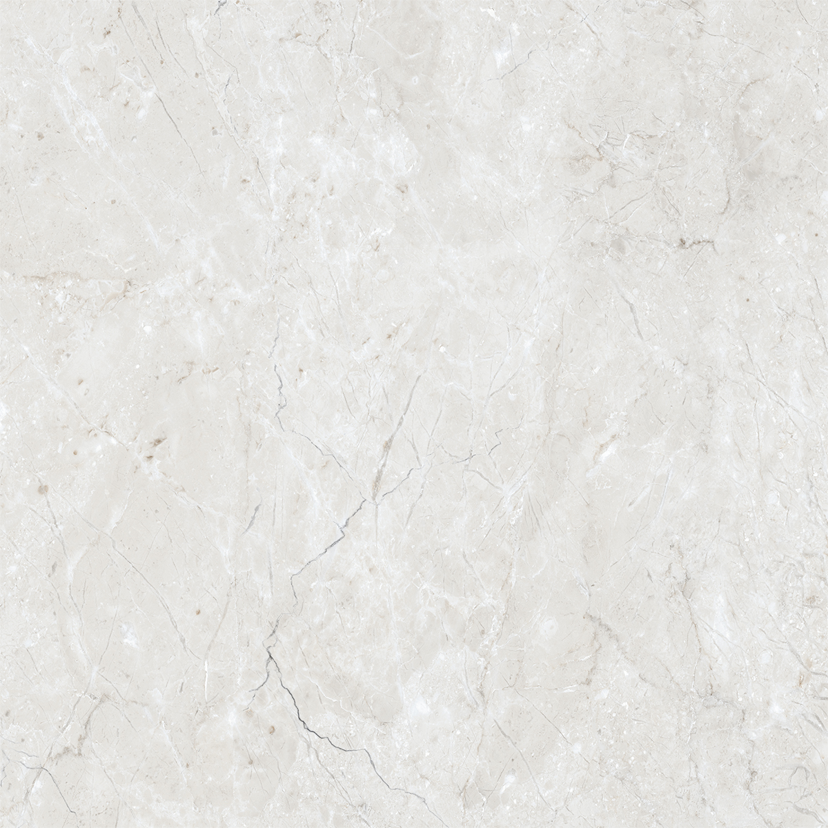BELFAST WHITE