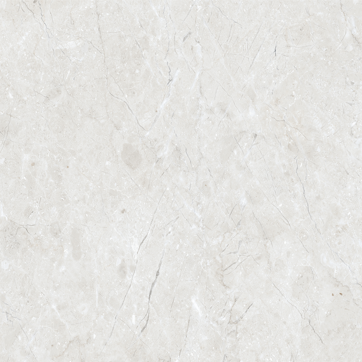 BELFAST WHITE