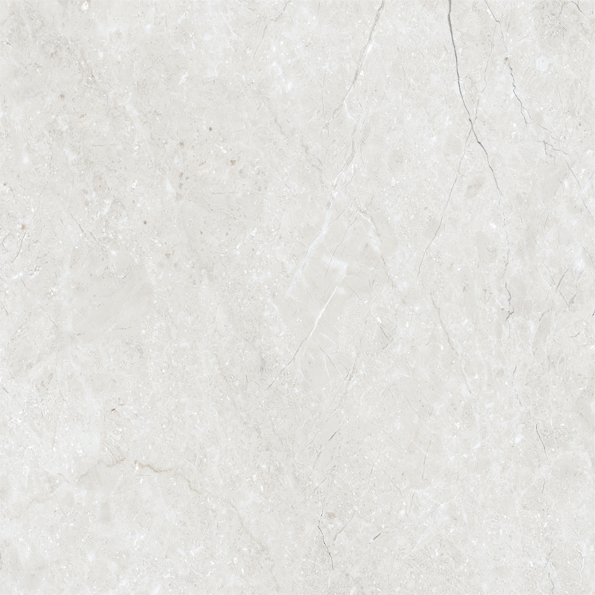 BELFAST WHITE