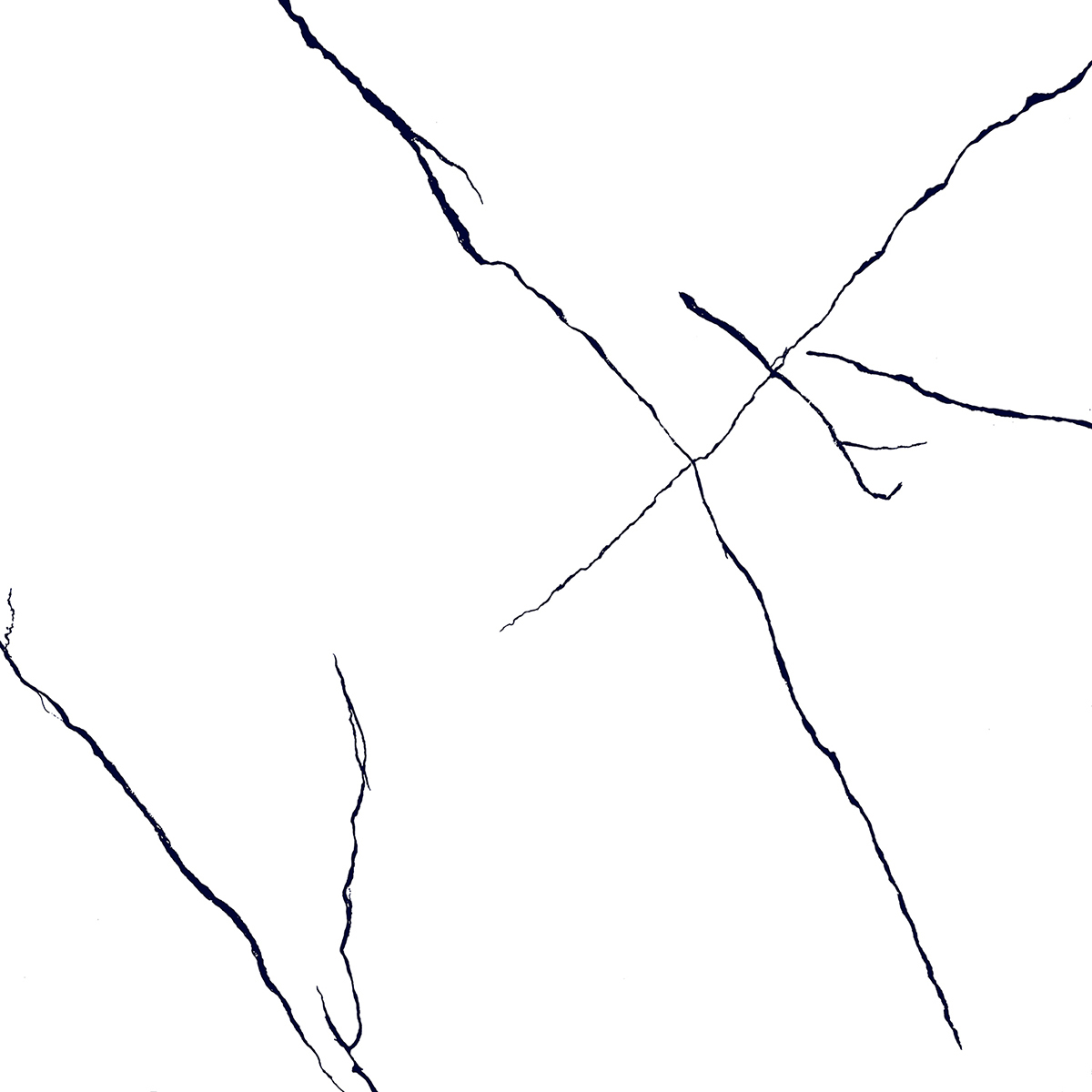 BLACK LINE