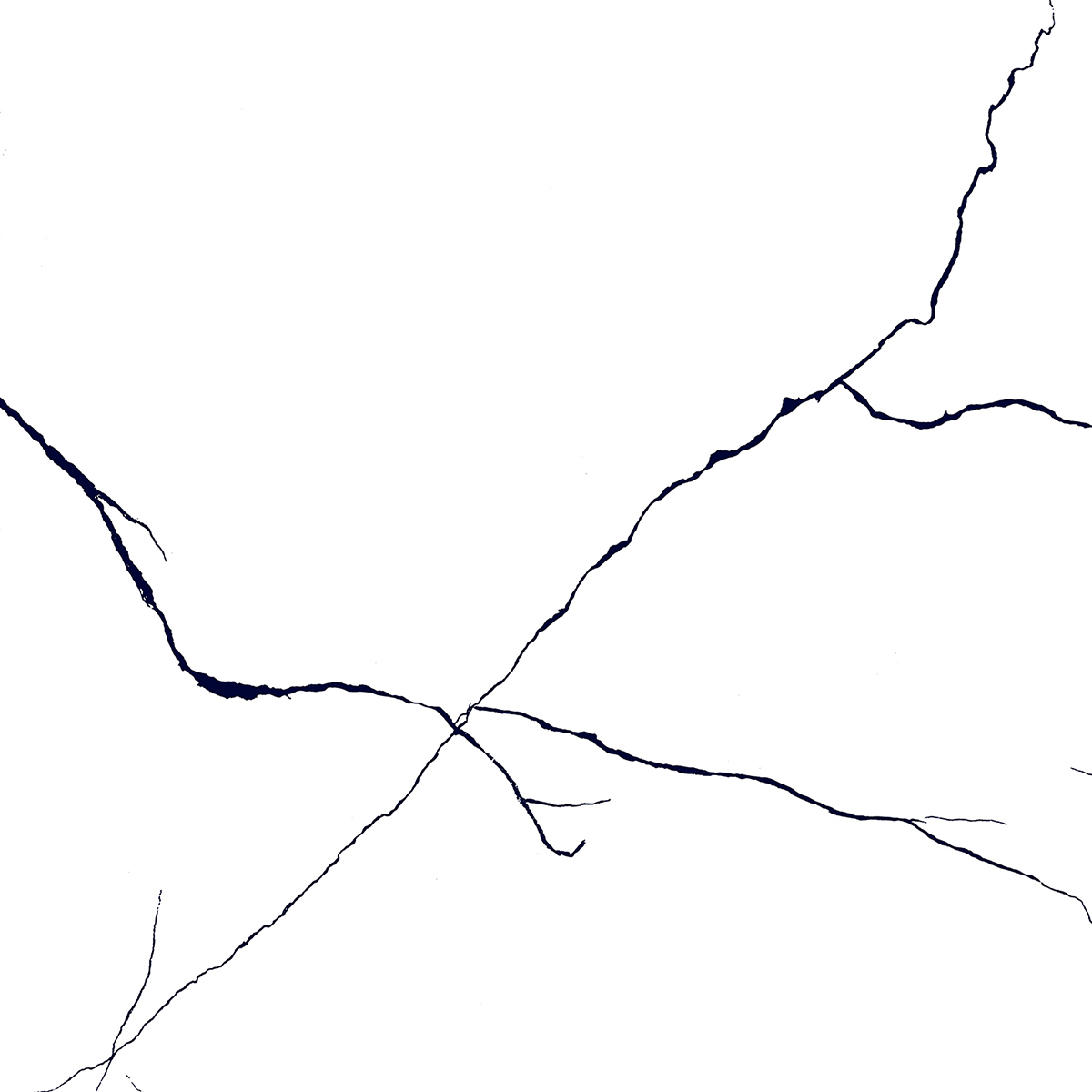 BLACK LINE