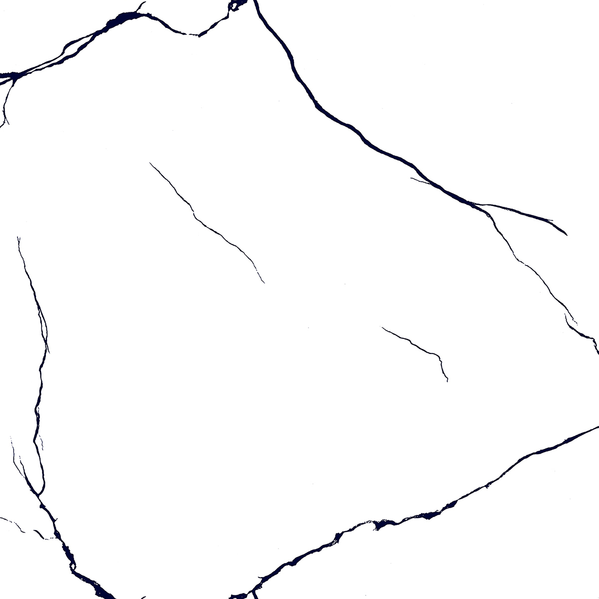 BLACK LINE