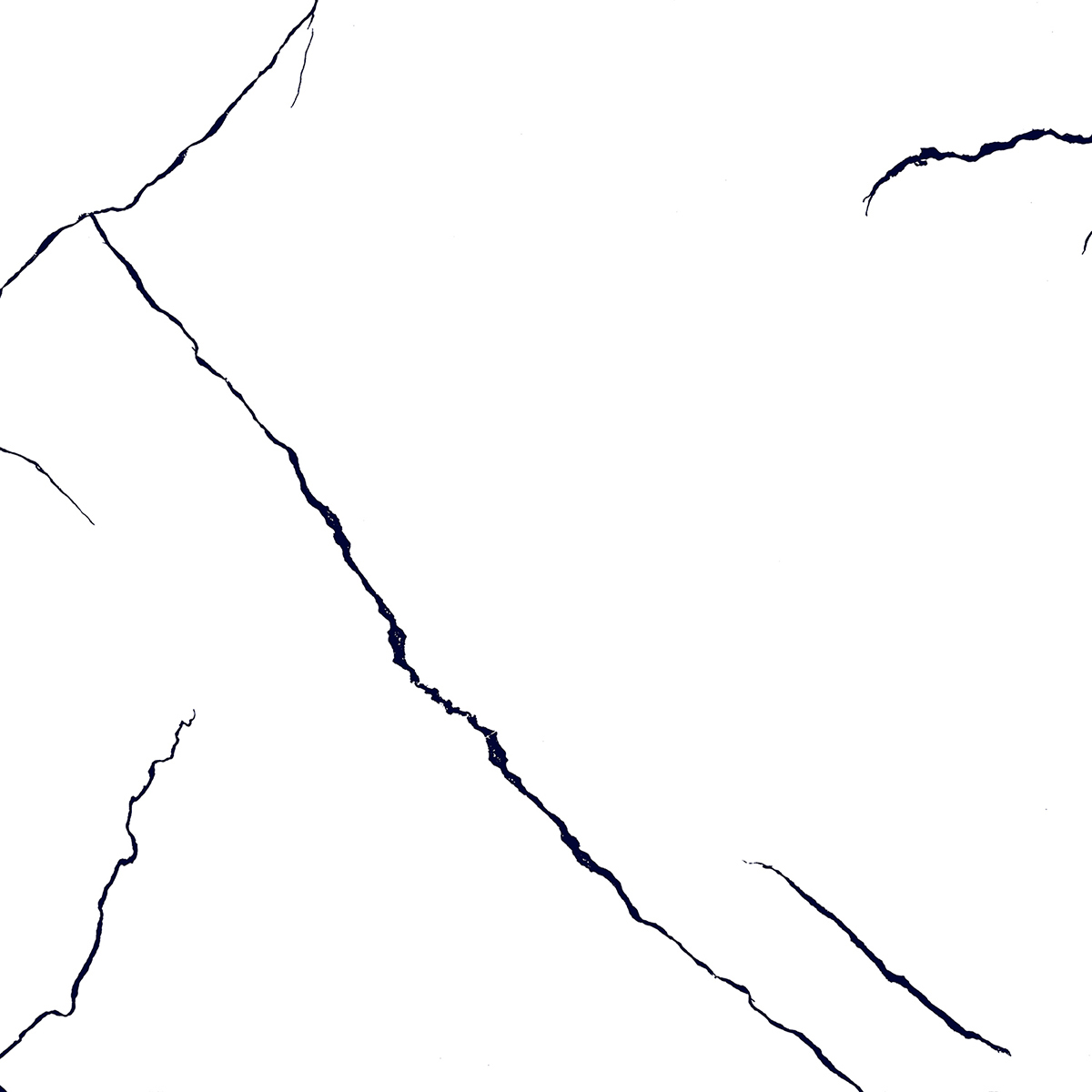 BLACK LINE