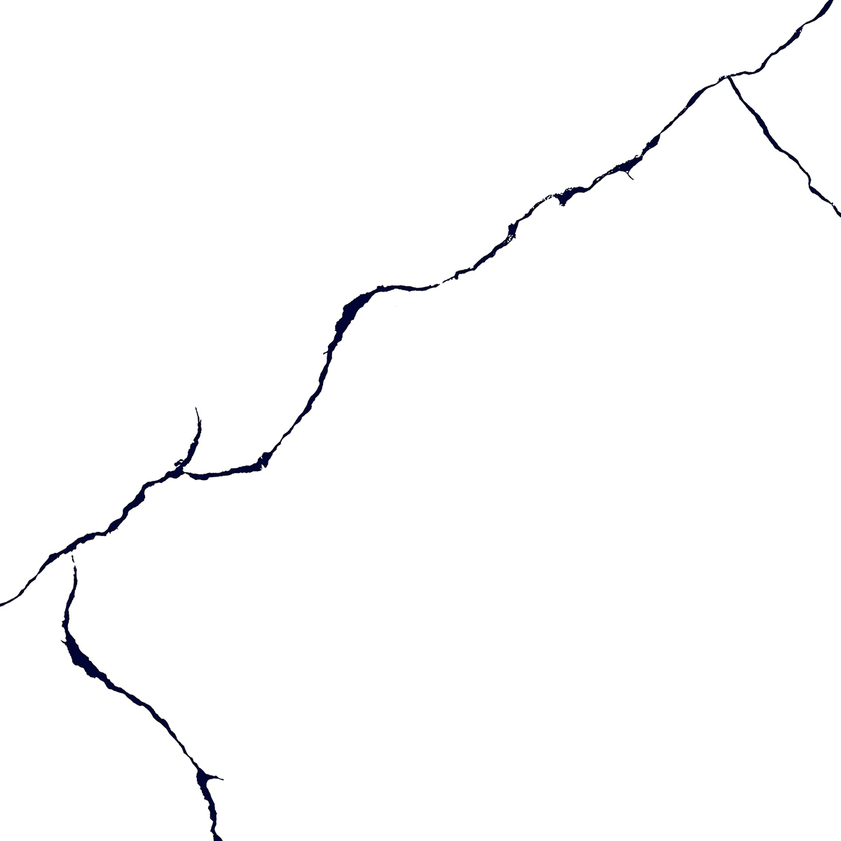 BLACK LINE