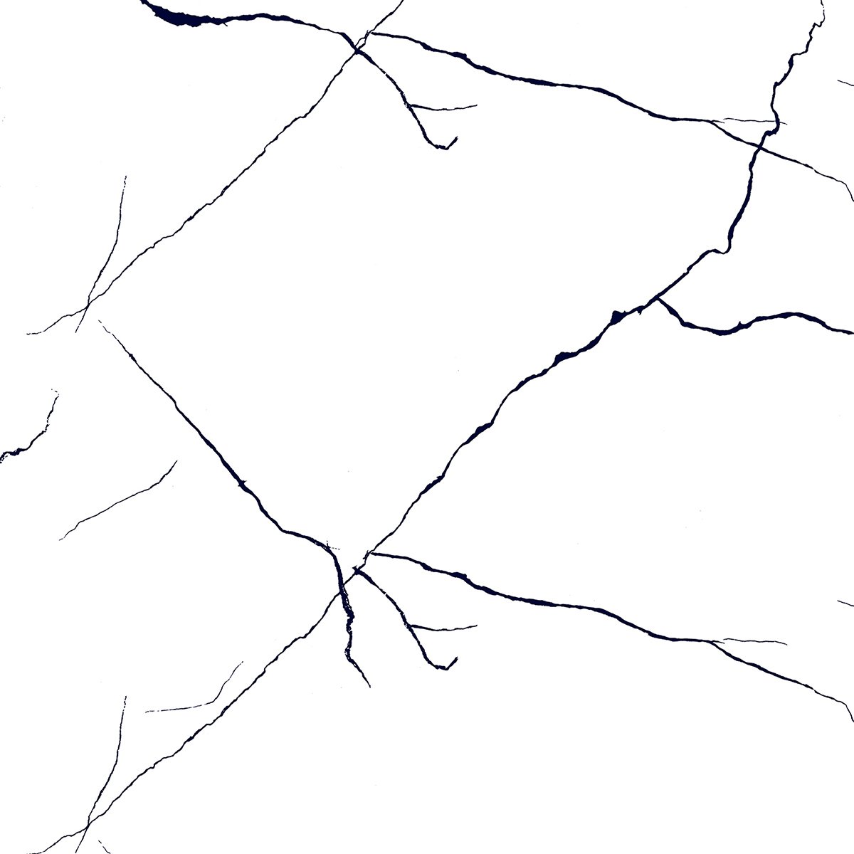 BLACK LINE